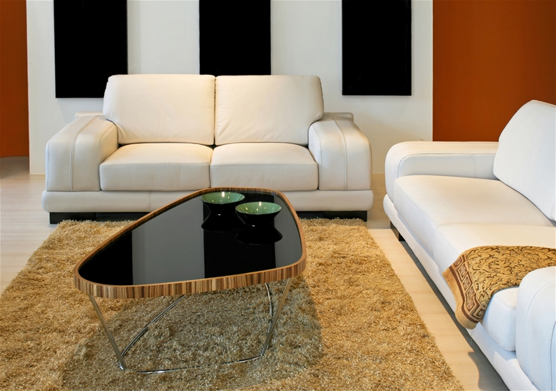 Why Should You Have Furniture Professionally Cleaned?